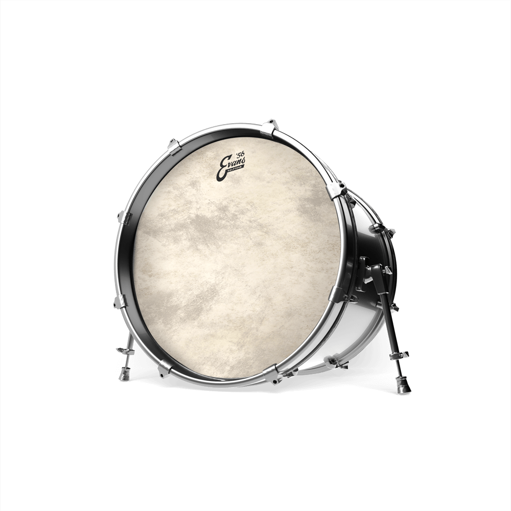 EVANS EQ4 Calftone Bass Drum Head, 22 Inch