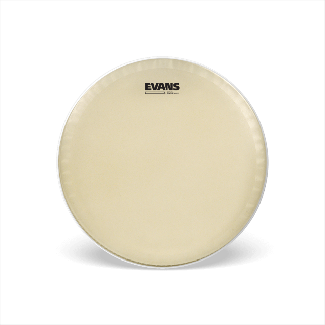 Concert Snare Batter Drumheads EVANS Drumheads