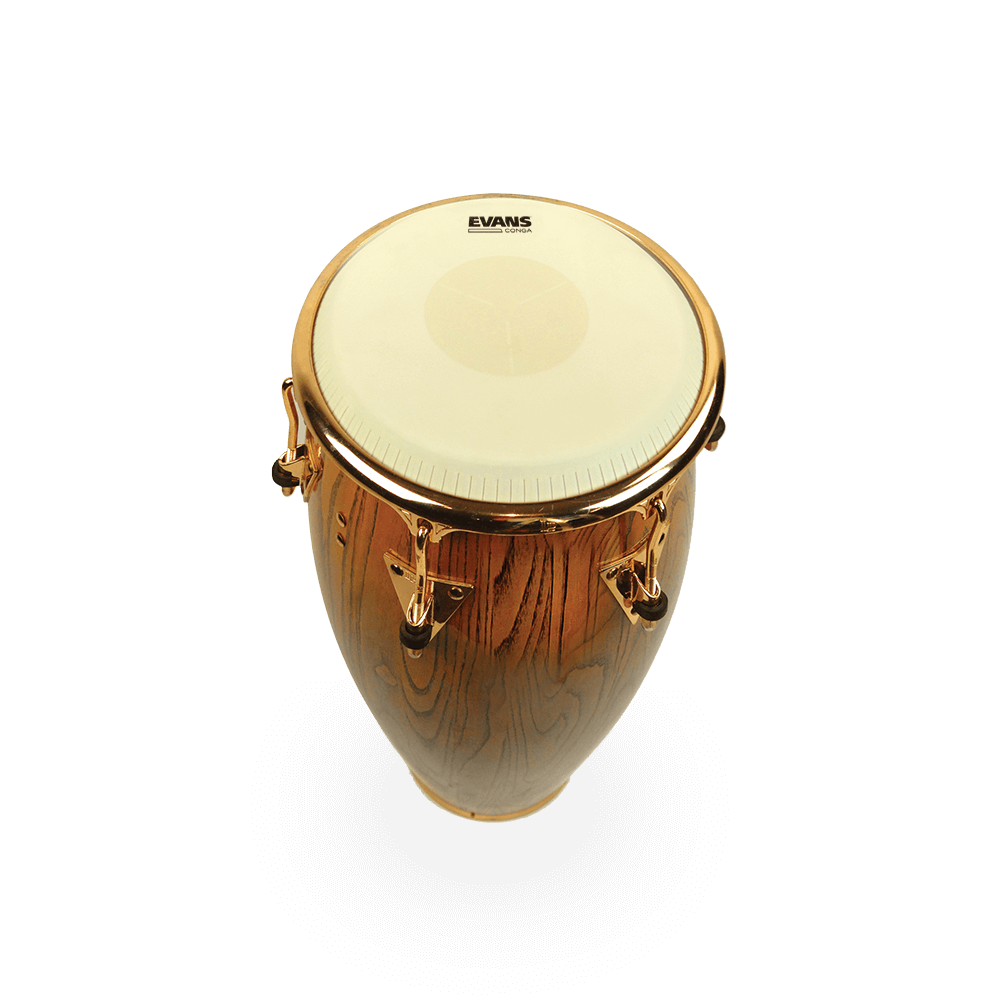 TriCenter Collar Conga Head | EVANSTriCenter Collar Conga Head | EVANS  