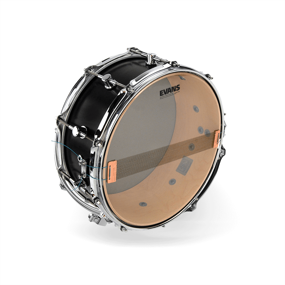EVANS Clear 200 Snare Side Drum Head, 14 Inch