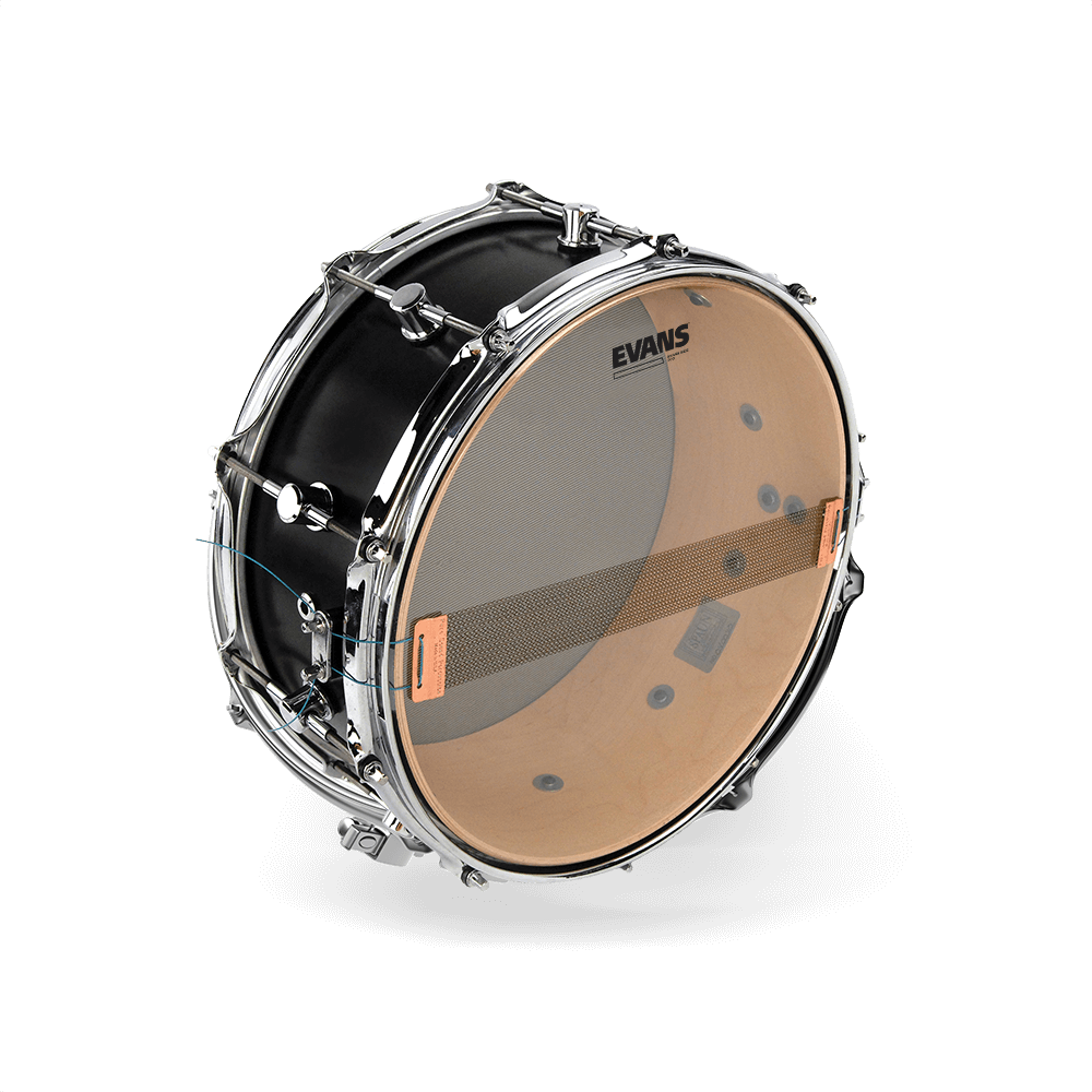 evans snare side heads