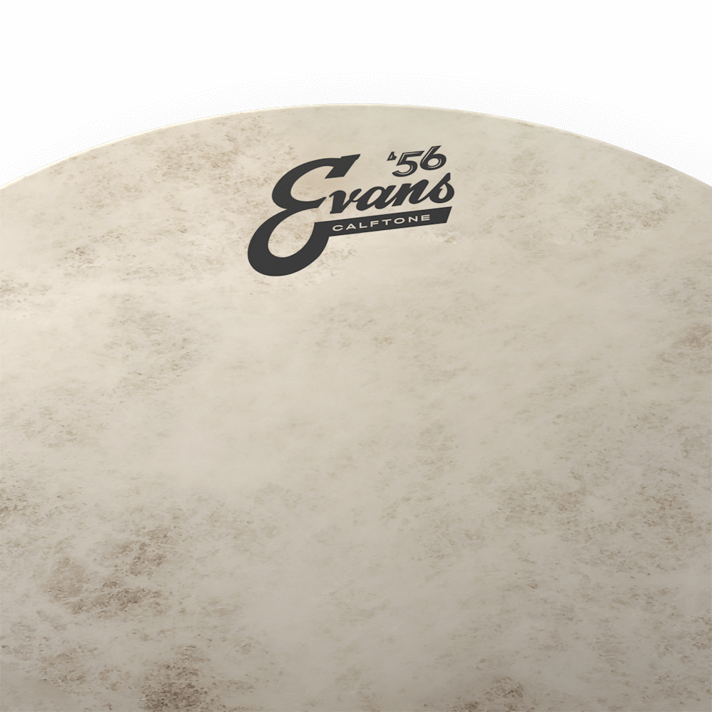 Evans Calftone Drumhead, 10 Inch