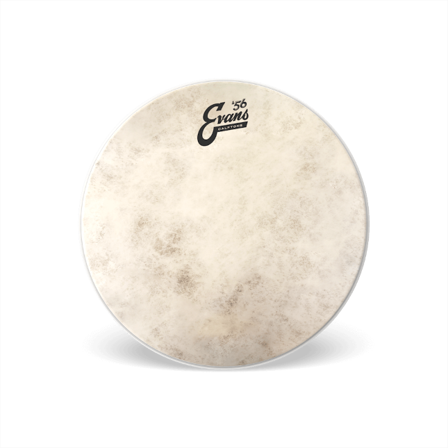 Calftone Tom Batter Drumhead