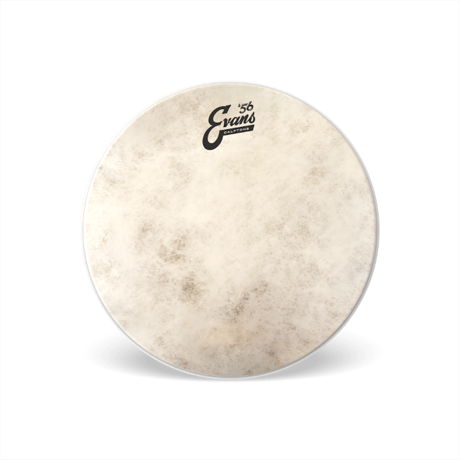 Evans Calftone Drumhead, 12 Inch