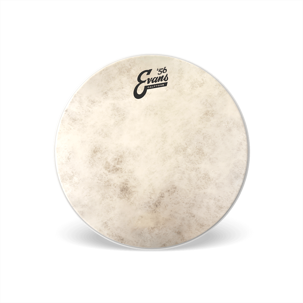 Evans Calftone Drumhead, 14 Inch