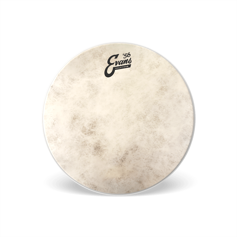 Calftone Drumhead | Evans Drumheads | D 