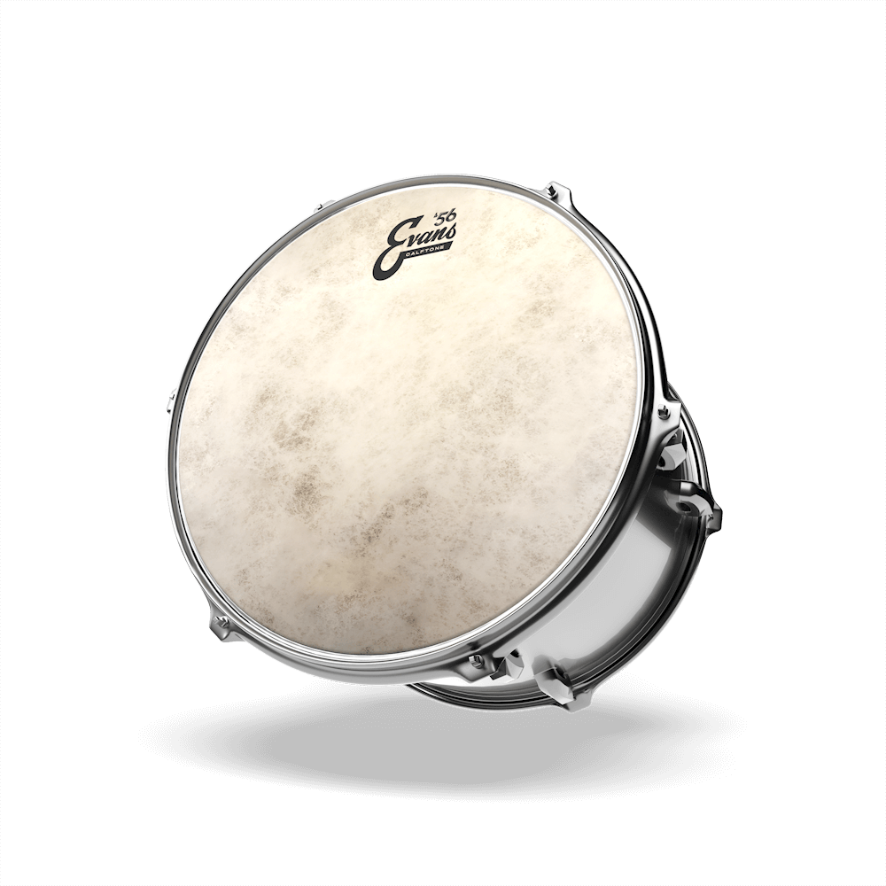 Calftone Drumhead | Evans Drumheads | D 