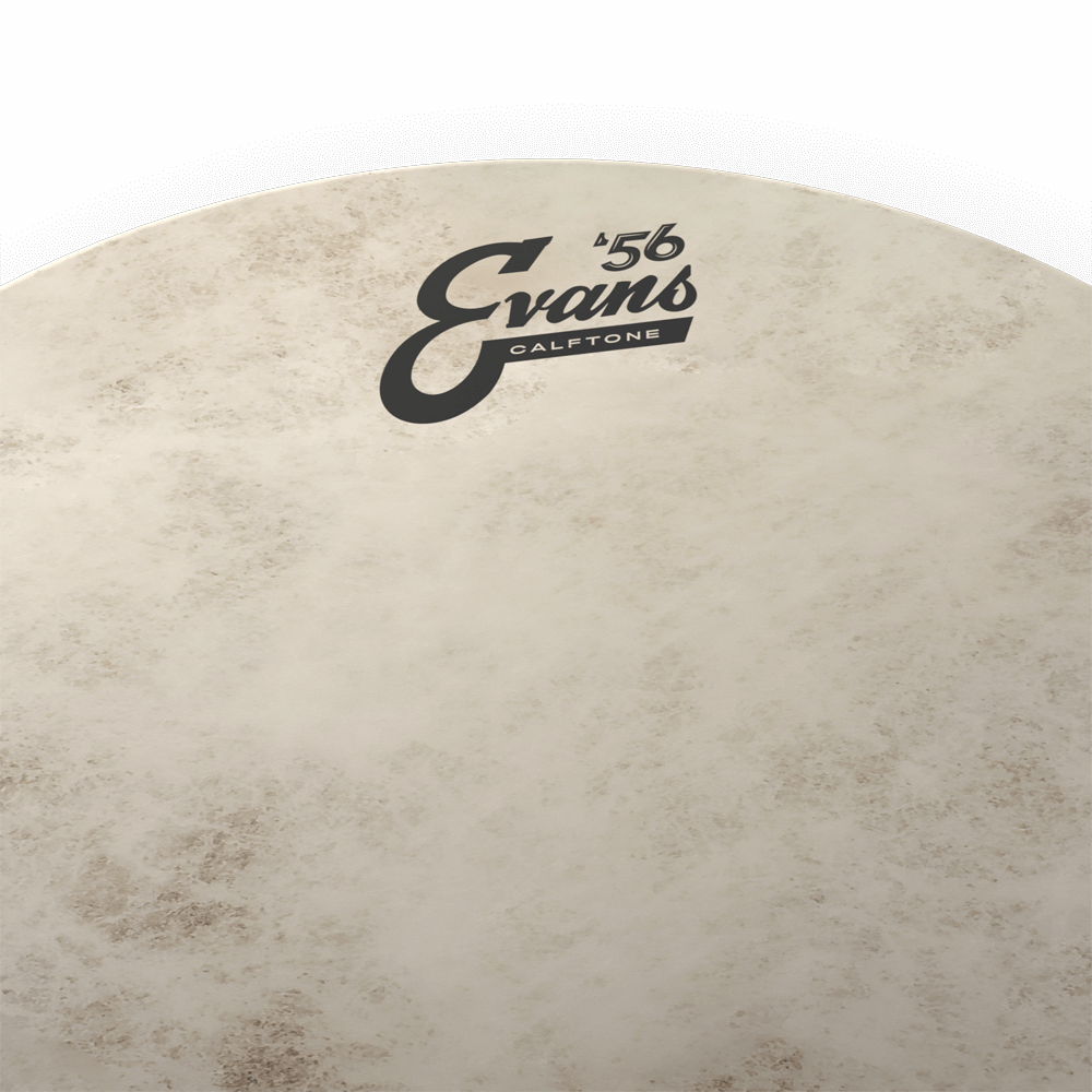 Evans CalftoneDrumheadr, 16 Inch