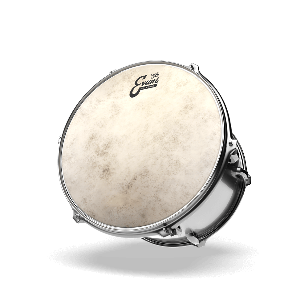 Evans CalftoneDrumheadr, 16 Inch