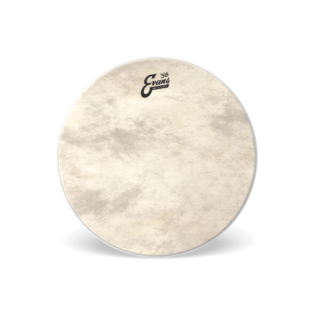 16 Inch Evans Strata 1000 Concert Drum Head