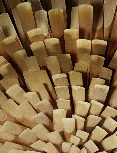 Cane cutting