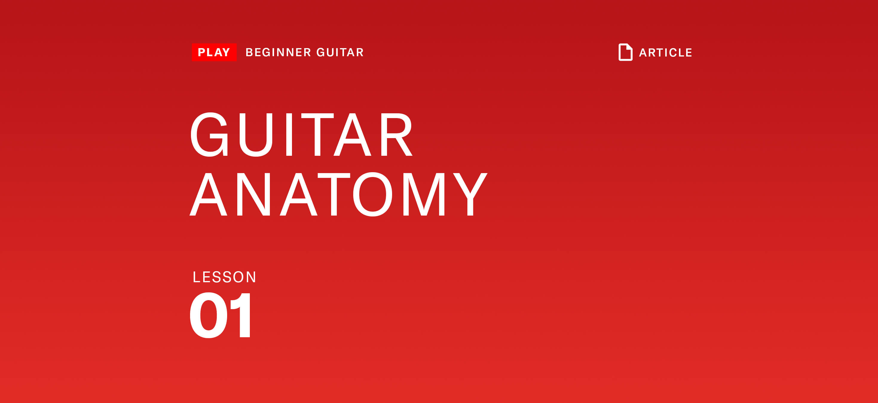 guitar anatomy text