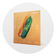 Ascenté Violin Strings