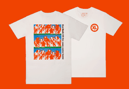 Assorted D'Addario T-Shirts