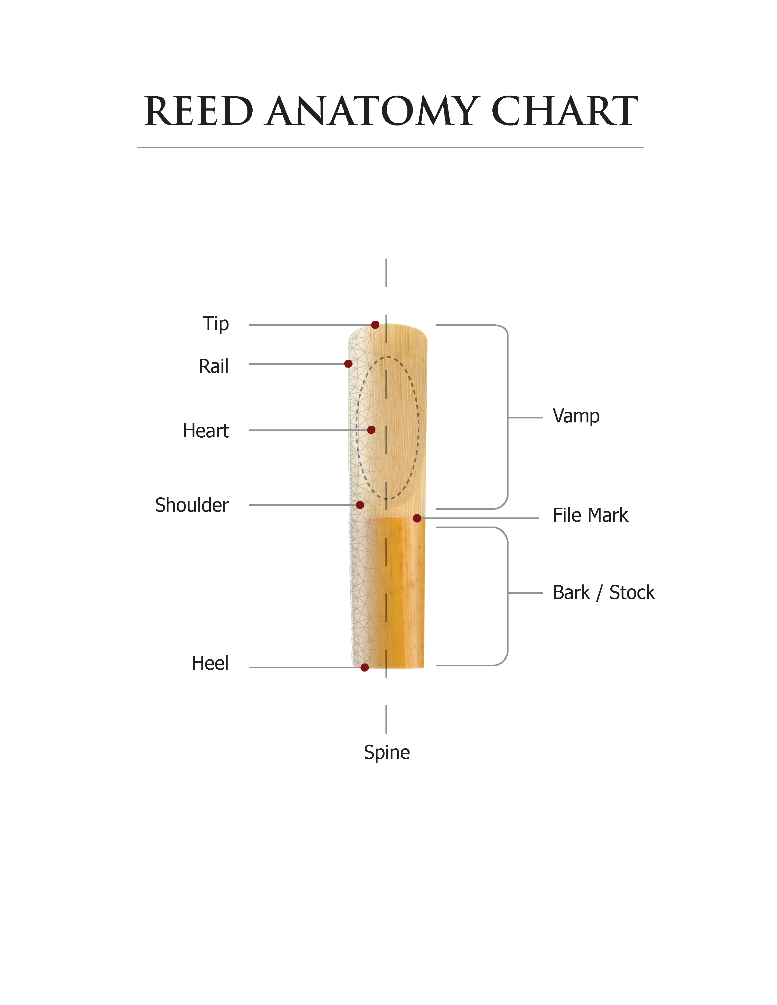 Rico Reserve Classic Bass Clarinet Reeds Strength 3 