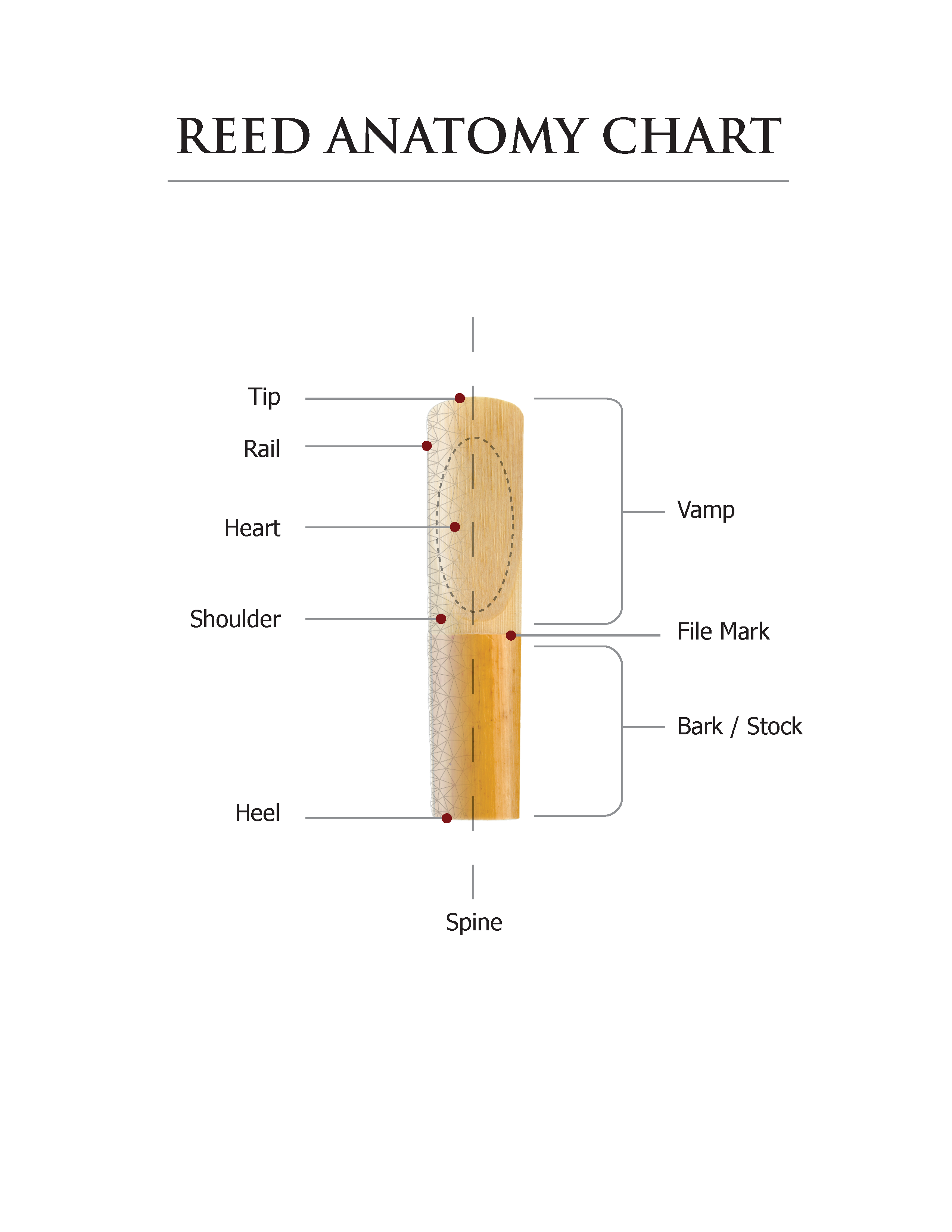 D Addario Reeds Chart