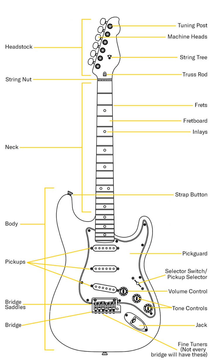 descriptive anatomy of an electric guitar