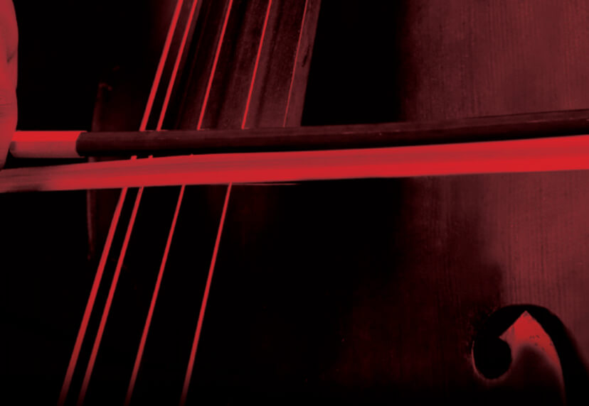 Person playing double bass