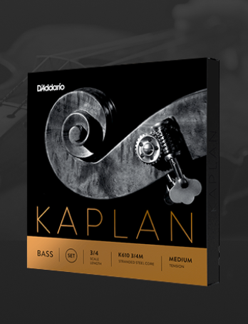 Kaplan Strings