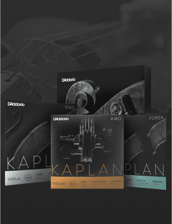Kaplan strings