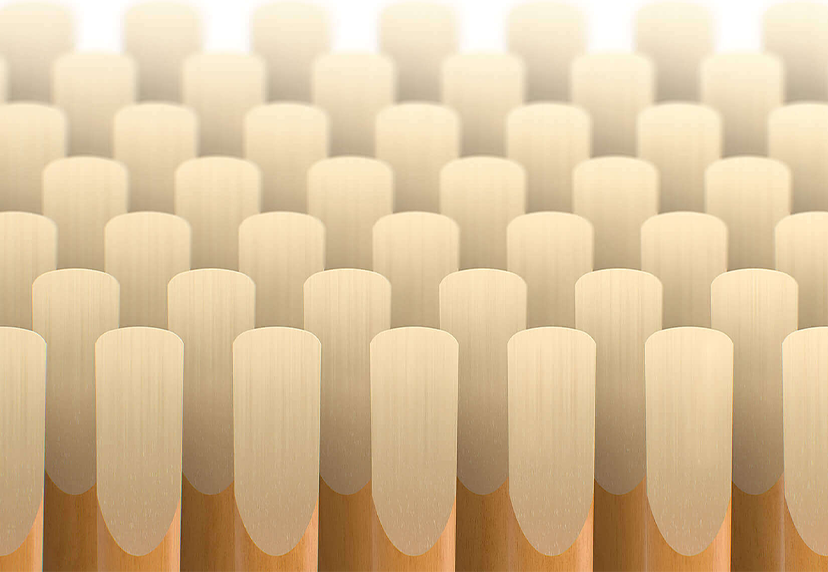 Saxophone and Clarinet reeds