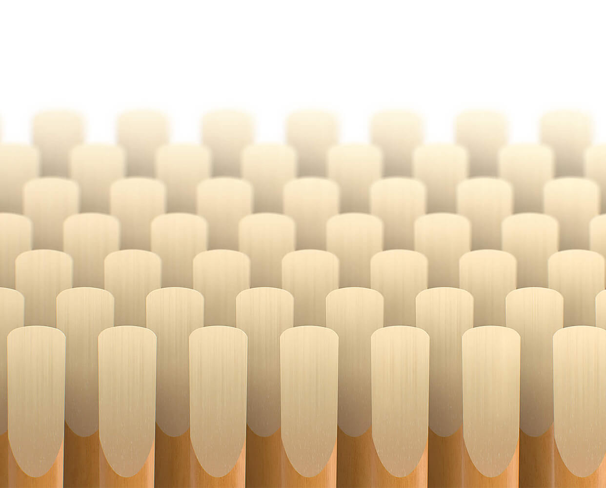 Reed Making